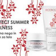 summer wellness telo in obraz